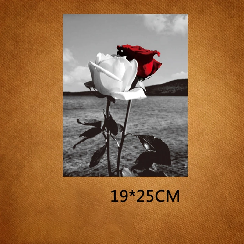 Термоклейкие Переводные нашивки с цветами белой красной розы