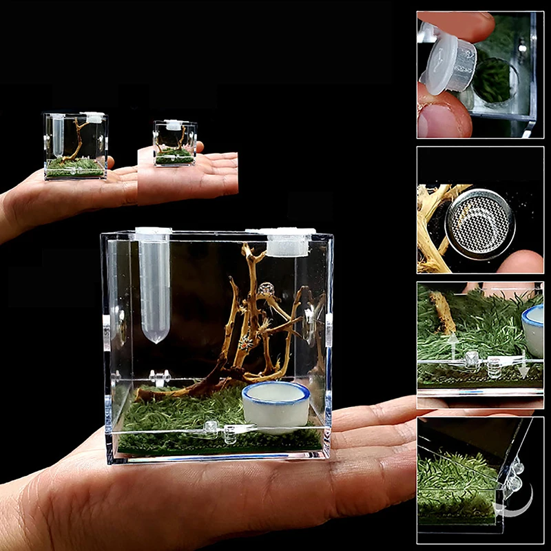 Small Spider Ant Farm Insect Breathable Terrarium Transparent Reptile Breeding Box Acrylic Acrylic Assembled Eco Box ecologique