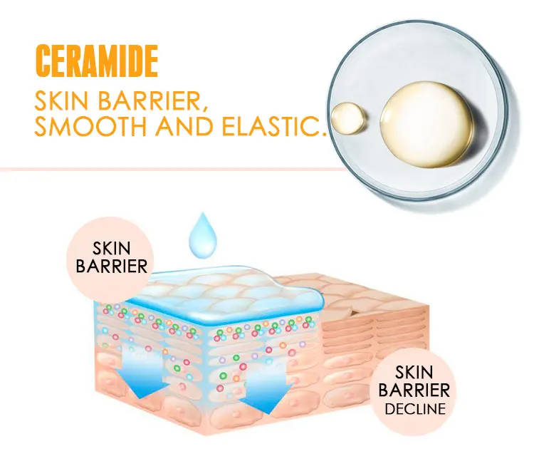 DR.RASHEL 50ml Brightening Anti-aging Facial Essence Vitamin C Whitening Moisturizing Skin Hydrating for All Skin Type