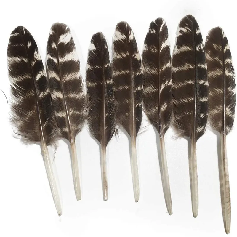 10 шт./лот натуральные птицы орла фазана перья своими руками Ловец снов