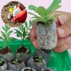 Стартовый Блок, заглушки для семян, торфяные гранулы, корневой блок для рассады, заглушки для грунта, садовые заглушки, горшки для выращивания растений