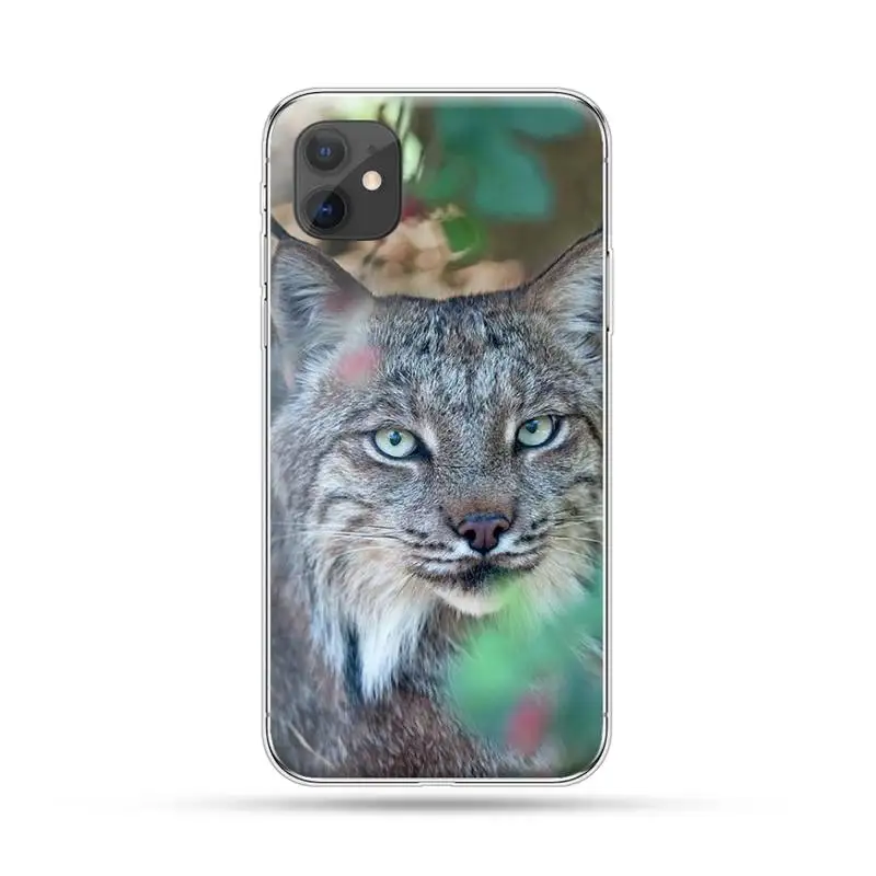 

aesthetic cute animal Big Cat Phone Case For iphone 12 5 5s 5c se 6 6s 7 8 plus x xs xr 11 pro max mini