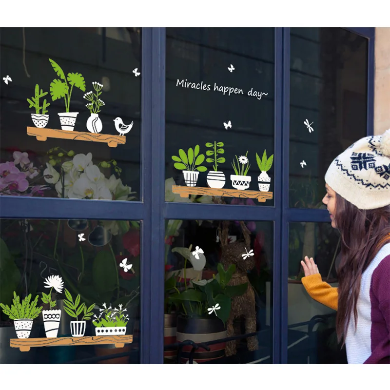 Новое растение в горшке украшение для дома гостиной спальни магазина окна двери