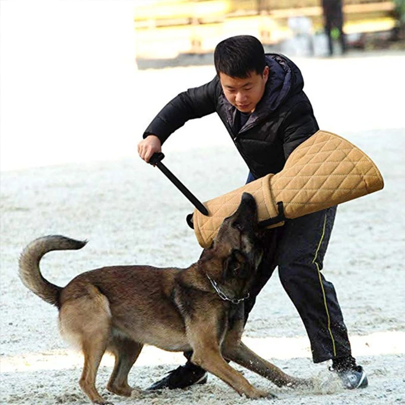 

Pet Products