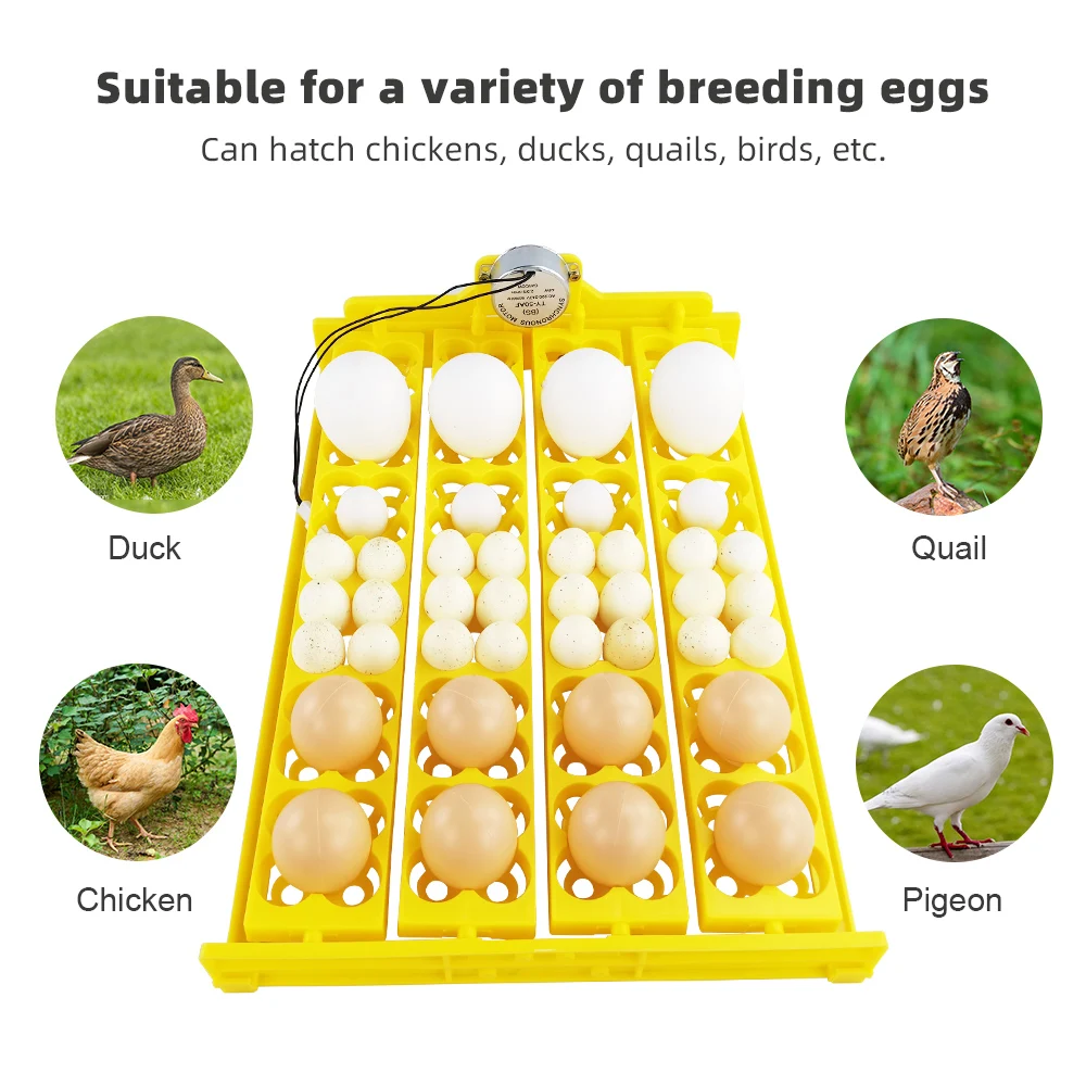 

Multifunction Plastic Egg Tray Automatic Turn Egg for Chicken Ducks Quails Incubator Brooder Accessory for 104 Birds