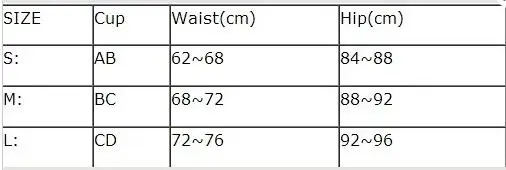 

Summer Women Bikini Set Padded Push-up Lace Swimsuit Bathing Suit Swimwear Beachwear Brazilian Bikinis