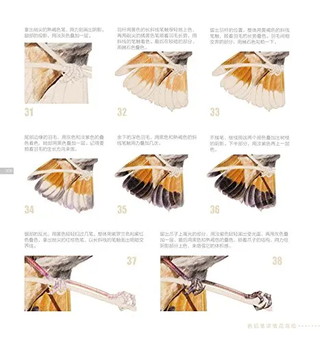 Книги с африканскими цветами для рисования птиц учебное пособие карандашей