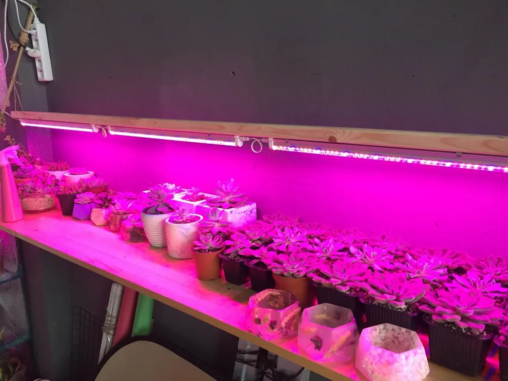 Groleds Led для растений 12 Вт 24 Вт Светодиодный светильник для выращивания полный спектр фитолампа растительный светильник полный спектр Led 110 В 220 В лампа для выращивания гидро