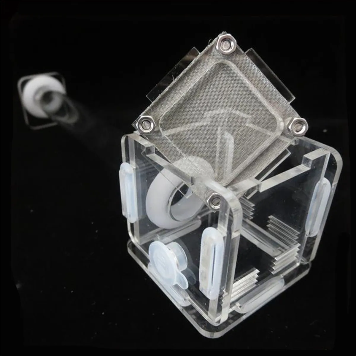 

Mini Ant Nest Farm Acrylic Nest Tubes Farm Formicarium Small Colony Feeding Area