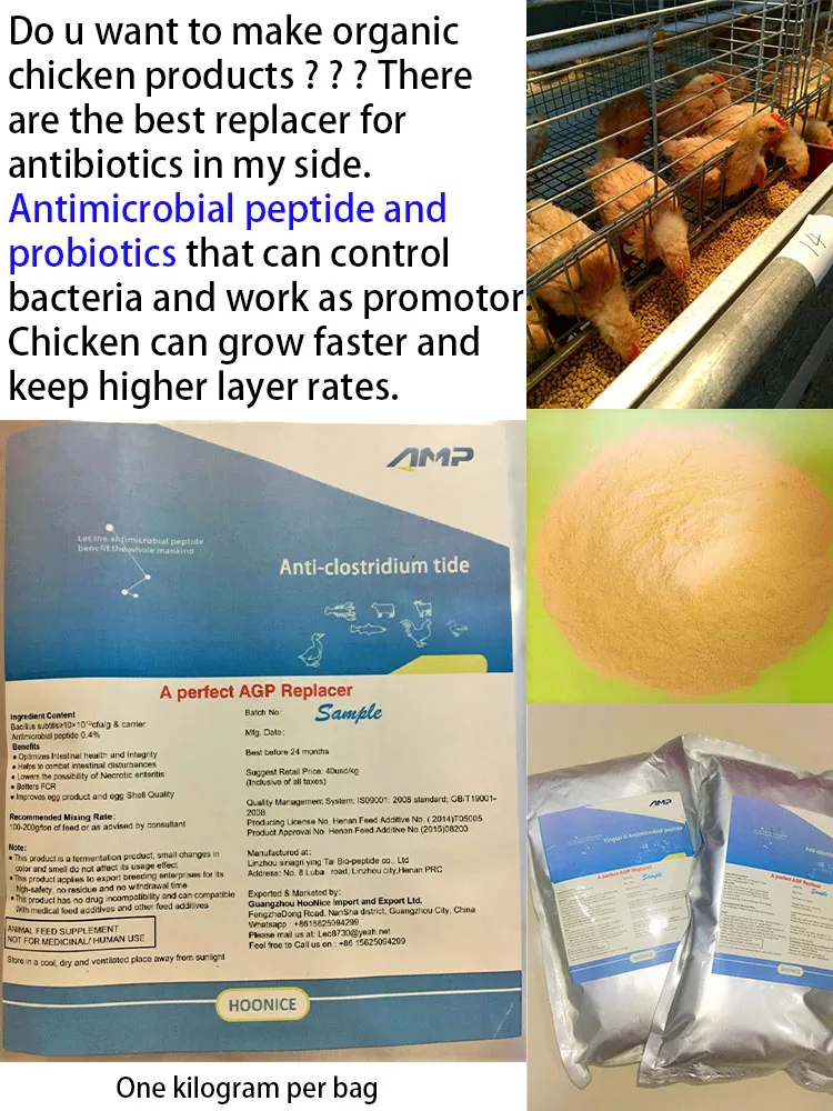 Bacillus subtitlis пробиотики и антимикробный пептид для птицы рыбы. Без антибиотиков