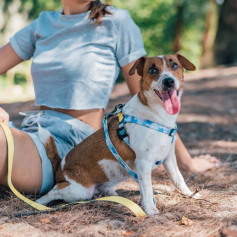 Шлейка для собак 2020 новый стиль цветной набивной жилет домашних животных