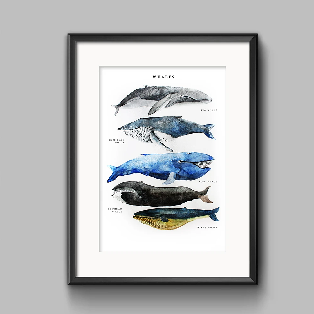 Печать рыбы и плакат киты акварельные стены Искусство Холст Живопись