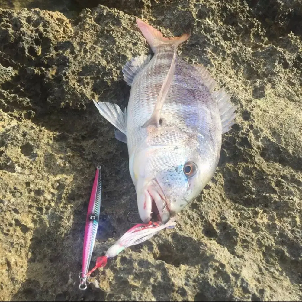 CASTFUN дергающаяся приманка Скорость джиг морской рыбалки приманки Вертикальная 60