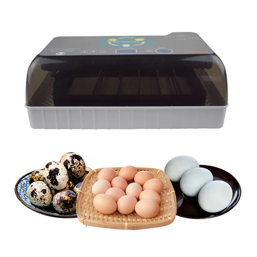 

Mini Fully Automatic 12 Eggs Incubator 110V 220V High Hatching Rate Eggs Incubator Brood Hatching for Chicken Ducks Goose Birds