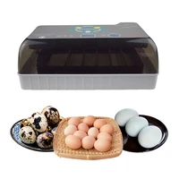 mini fully automatic 12 eggs incubator 110v 220v high hatching rate eggs incubator brood hatching for chicken ducks goose birds