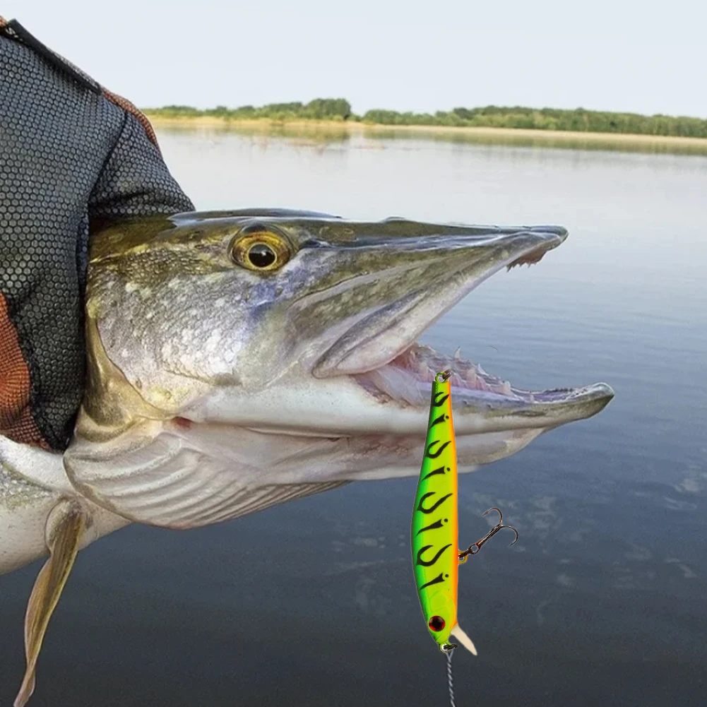 

Sinking Fishing Lures Hard Baits Bait Jerkbait Crankbaits Fishing Tackle Lure Kit with 3D Fish Eye Realistic Design Dropshipping