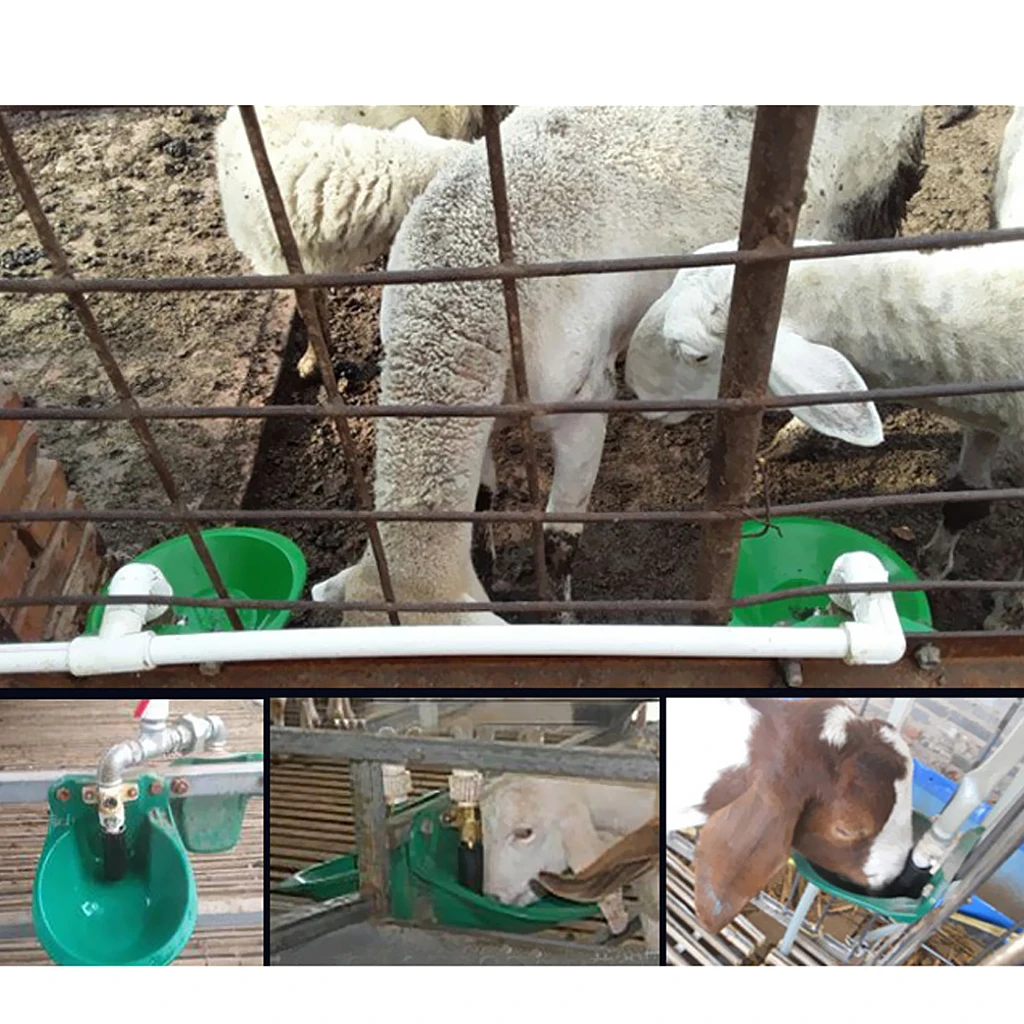 Professional Automatic Water Bowl for Sheep Goats Piglets Small Horses and Other Livestock 20mm（DN15）Water Pipe | Дом и сад