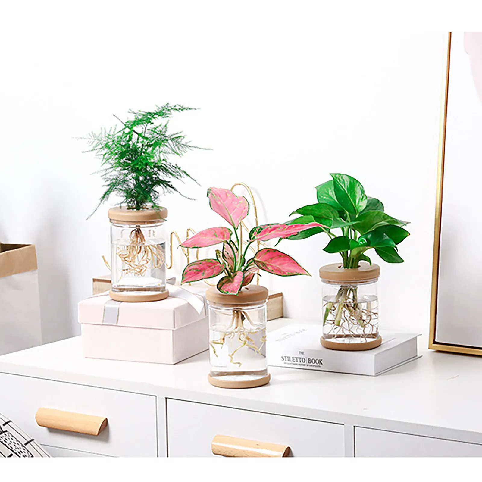 Стекло Настольный растения семена бонсай Декор гидропоники вазы для растений