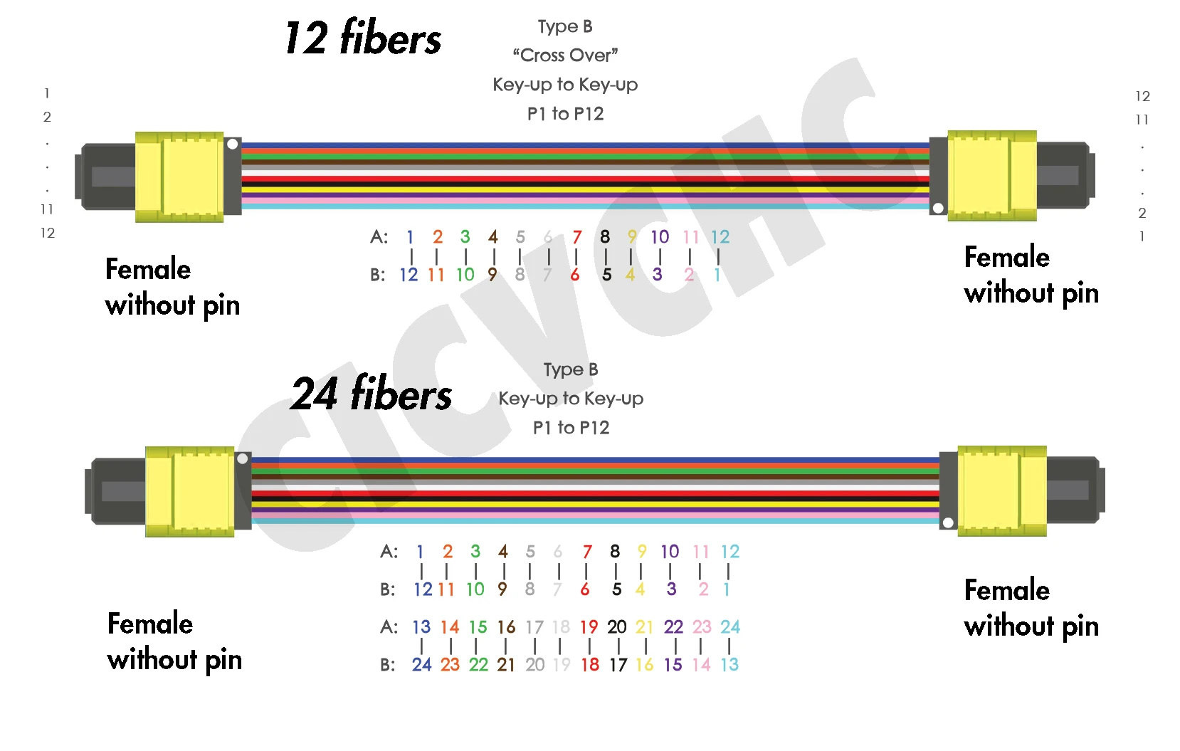 2pcs 12 Fibers Elite MPO/APC(Female)-MPO/APC(Female)-Patchcord-Single Mode G657A2-Polarity A,B,C-Low Loss-3.0mm cable-1m to 10m