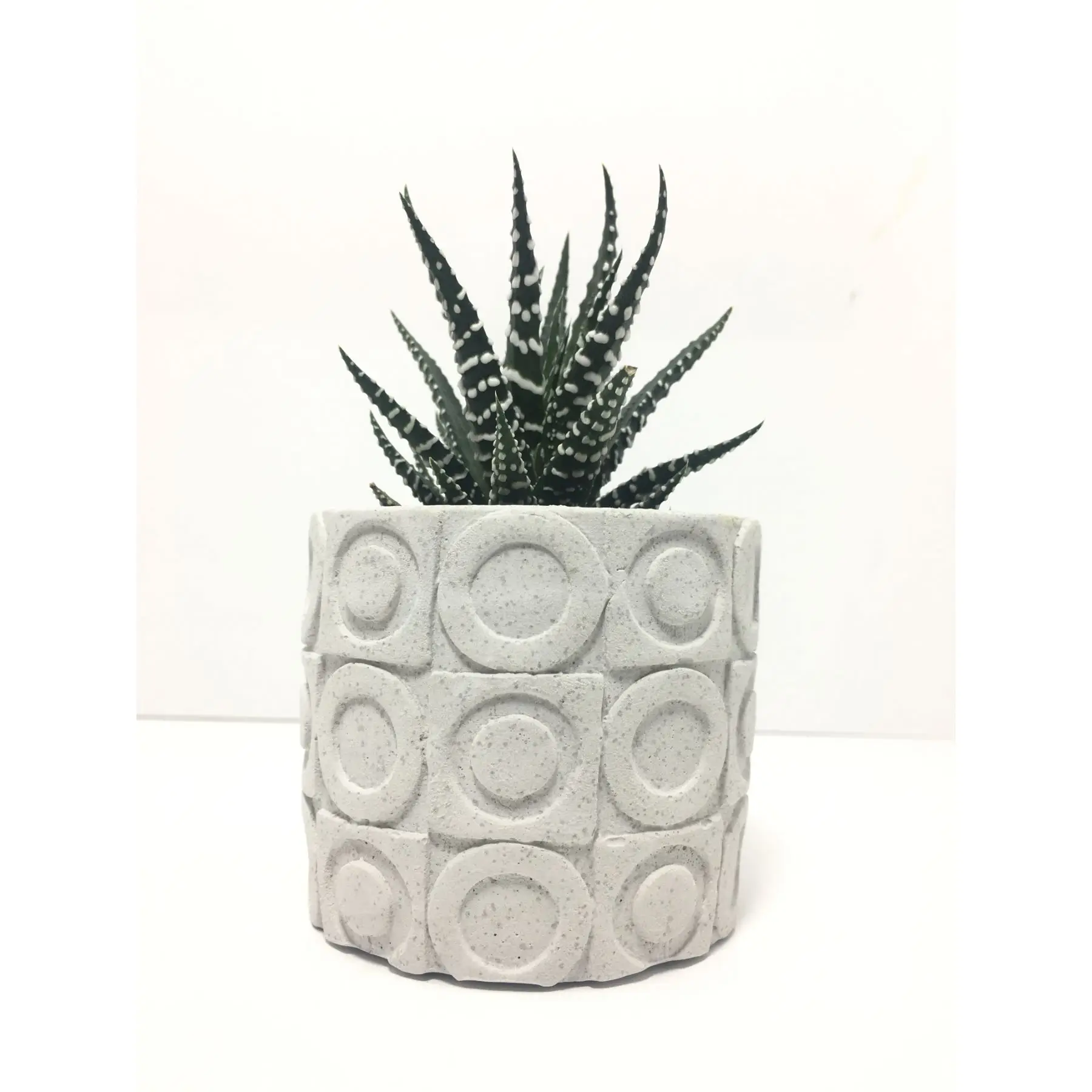 

Oval Textured Concrete Pot and Live Sukulent - YE1604