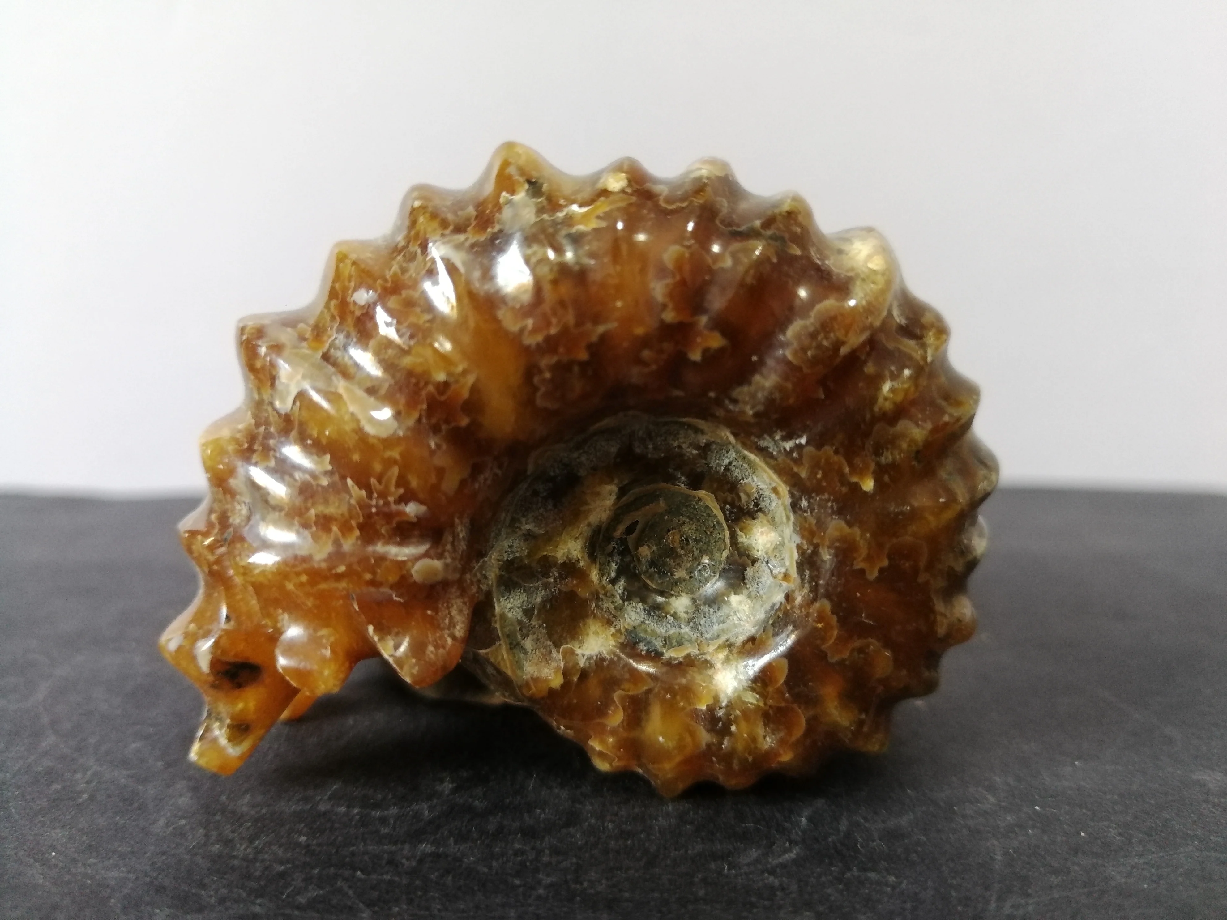 88.6gNatural ammonite crystal quartz specimen energy healing | Дом и сад