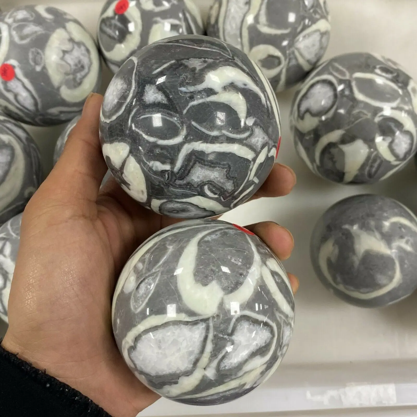 

Natural beautiful Black and white shell fossil crystal ball healing stone