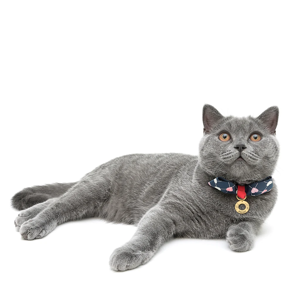 Оптовая продажа персонализированные гравировочные Именные Бирки Для домашних