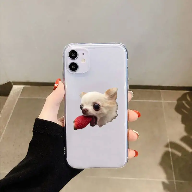 

Cute animal Chihuahua Dog Phone Case Transparent for iPhone 6 7 8 11 12 s mini pro X XS XR MAX Plus