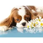 Картина для алмазной вышивки, модель CV631