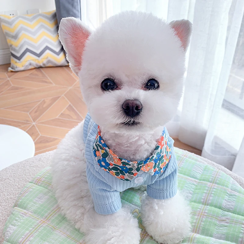 

Summer Dog Costume Dog Clothes for Small Dogs Cat Puppy T-shirt Schnauzer Pomeranian Corgi Poodle Clothing