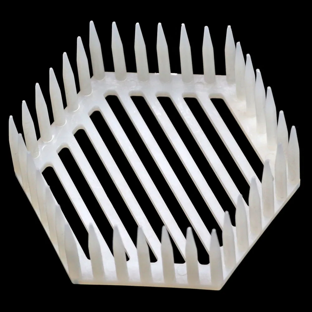 

10Pcs Beekeeping Bee Tool Rearing Queen Cage Plastic Hexagonal Needle Type Cages Bees Tools Equipment Supplies