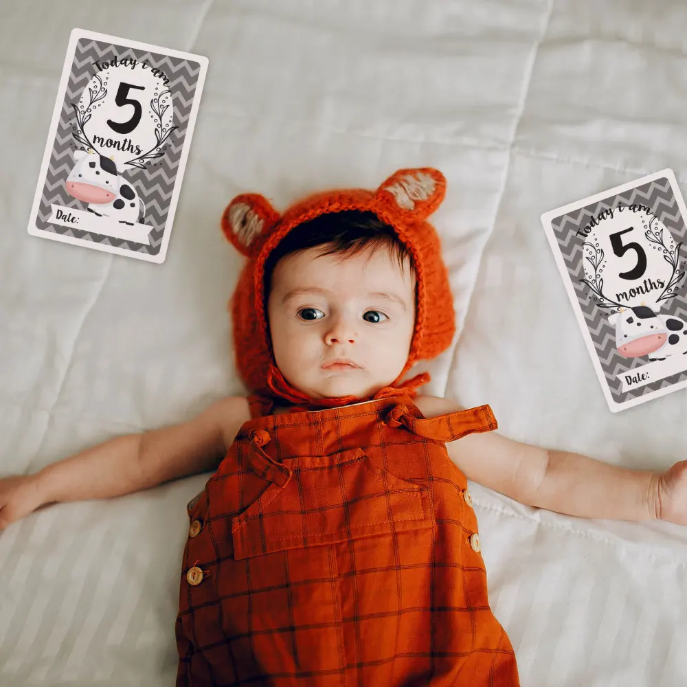 

12PCS Animal Baby Monthly Cards Premium Milestone Cards Durable Milestone Cards