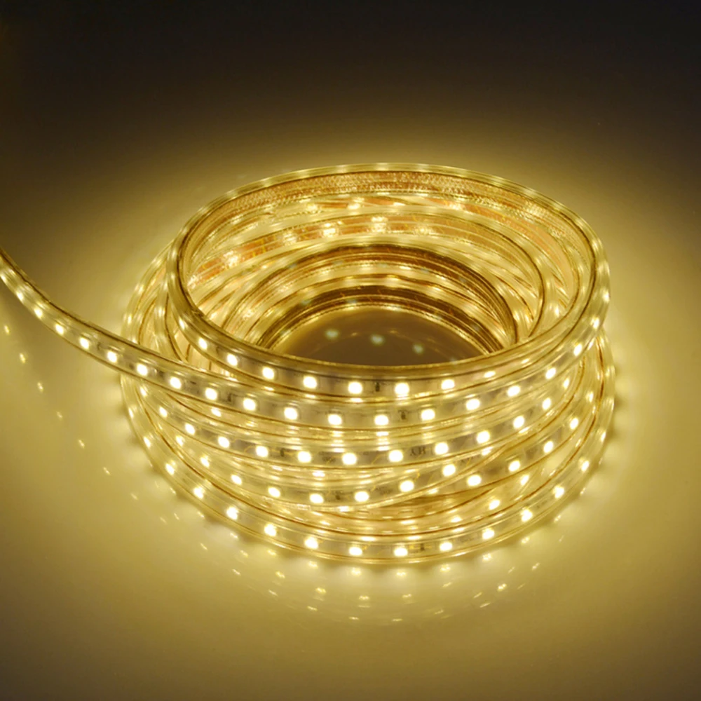 

AC220V SMD 5050 LED Strip Flexible Light 60leds/m Waterproof Led Tape LED Light with Power Plug 1M/2M/3M/5M/6M/8M/9M/10M/15M/20M