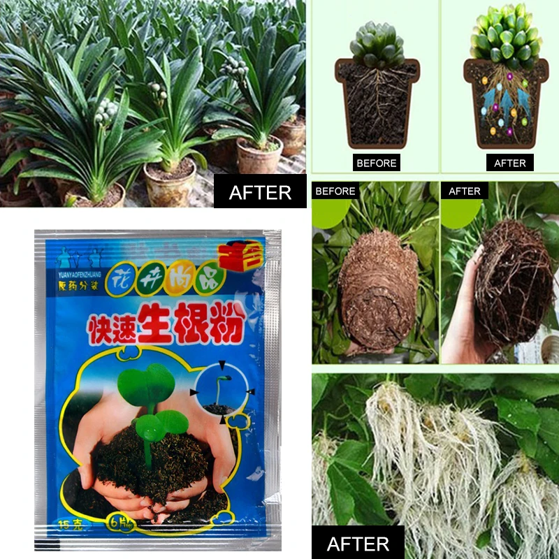 

Fast Rooting Powder Rooting Hormone Powder Improve Flowering Cutting Survival Rate Plants Grow Cut Dip Powder Fertilizer Hot New