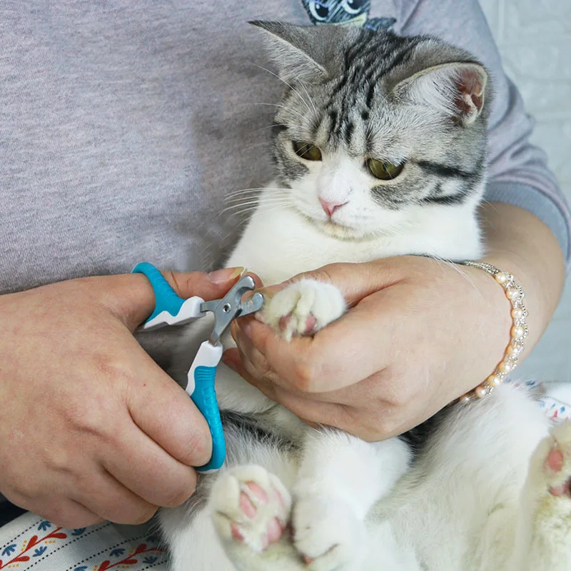 

Cat Dog Pet Nail Claw Cutter Stainless Steel Grooming Scissors Clipper Trimmer Clippers Claw Supplies Accessories Wholesale