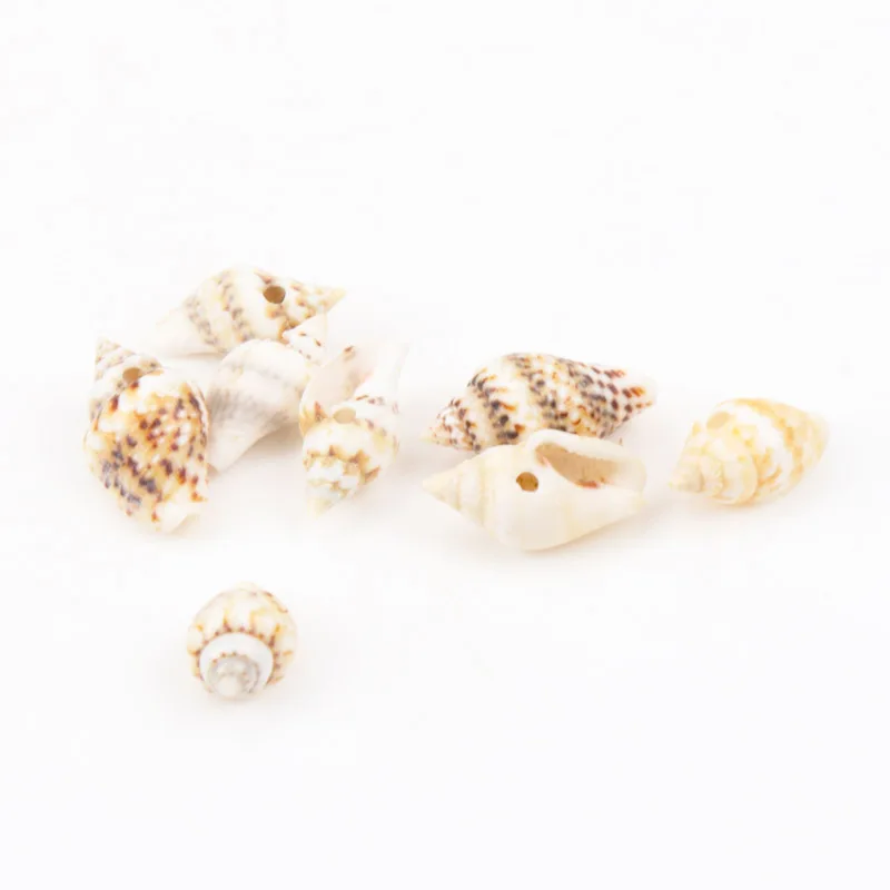 Натуральная спиральная ракушка с леопардовым узором Concha Do Mar товары для