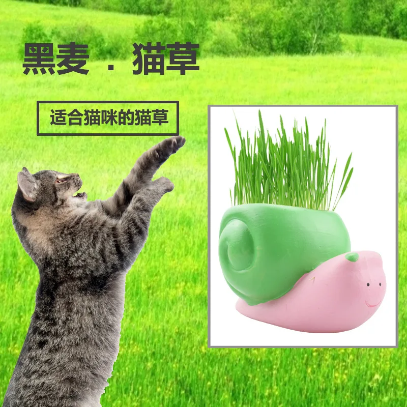 Моделирование керамической творческой черной пшеничной травы для замены