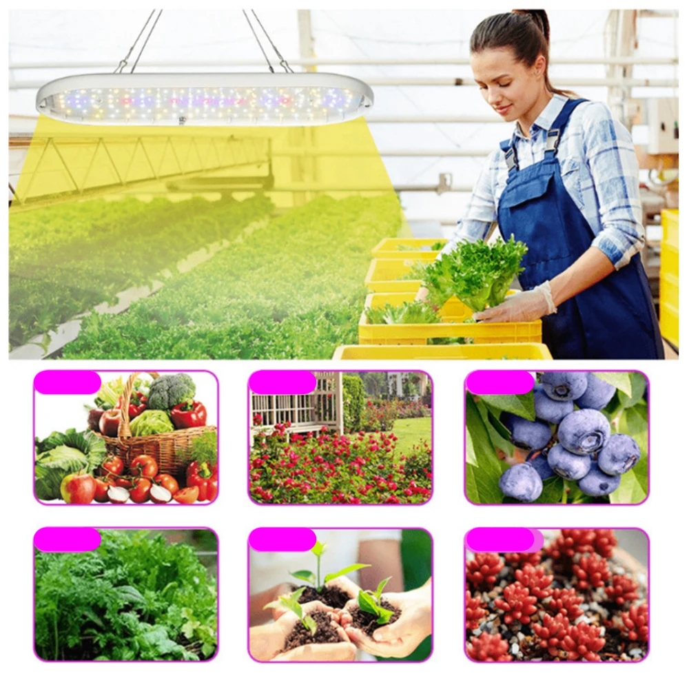 

LED Grow Light USB Timing Dimming Plant Light Succulent Flower Hanging LED Phyto Lamp for Seed Plants Flowers Greenhouses Tent