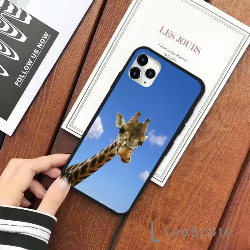 

Giraffe funny funny blue sky grass Phone Case for iPhone 11 12 pro XS MAX 8 7 6 6S Plus X 5S SE 2020 XR Soft silicone