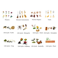 montessori materials life cycle models for language or biology learning preschool early educational toys
