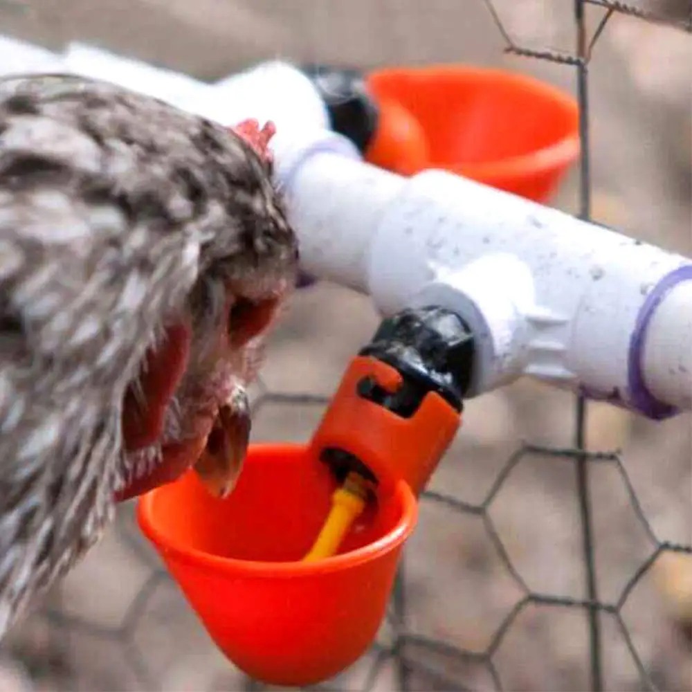 Автоматическая поилка для курицы птиц с желтым соском 4 шт. | Дом и сад