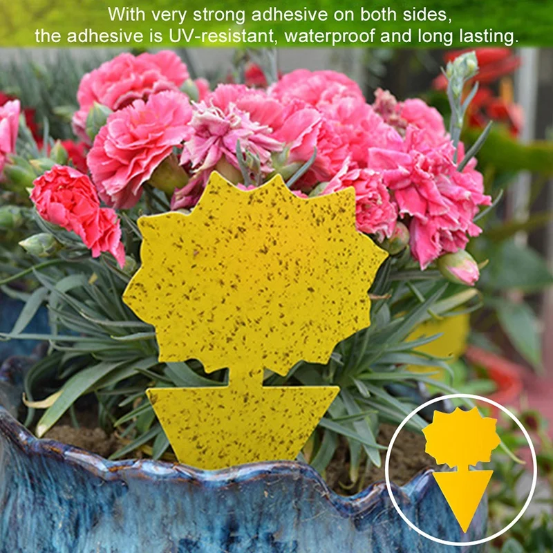 60 шт. двухсторонний желтый фруктовый мух липкий Ловушки для борьбы с вредителями