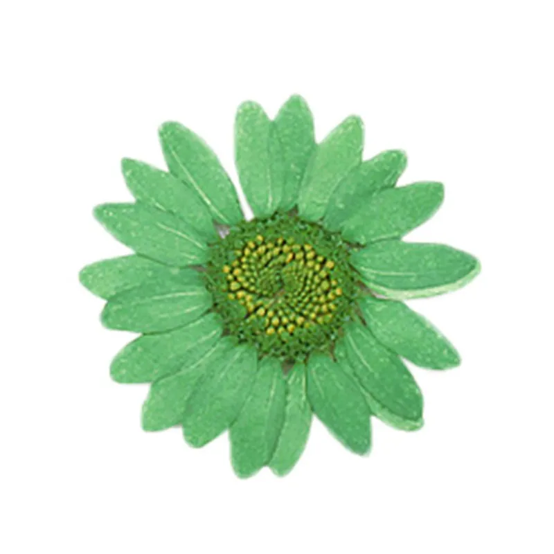 30 шт окрашенные белого цвета с украшением в виде кристаллов и принтом хризантем