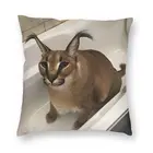 Наволочка для подушки с милым мемом Floppa, 40x40 см, полиэфирная забавная наволочка с котом, декоративная подушка для дивана, машины, Квадратной Подушки