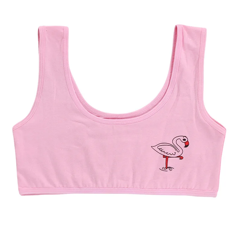 Хлопковое однотонное нижнее белье для маленьких девочек бюстгальтеры девушек