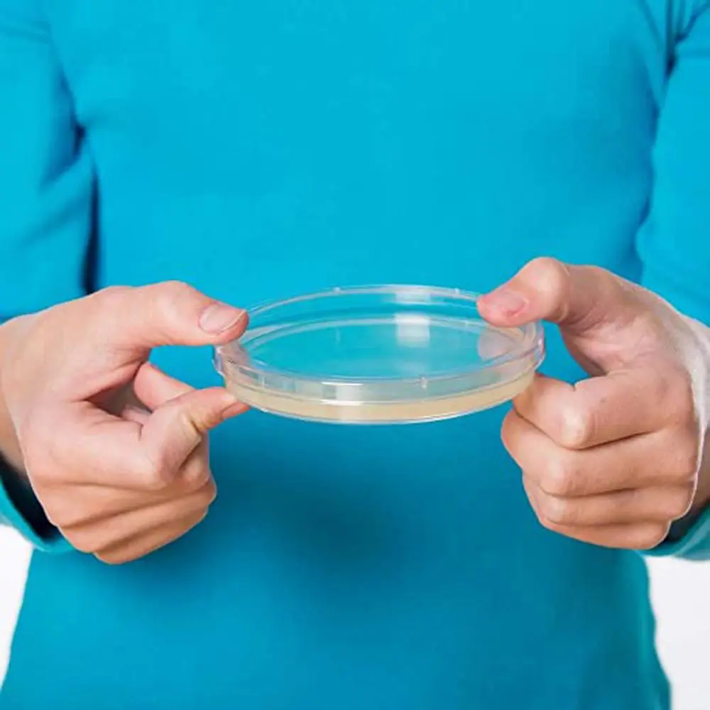 

10Pcs Plastic Sterile Petri Dishes Bacteria Culture Dish with Lids 55x15mm 90x15mm for Laboratory Biological Scientific Lab