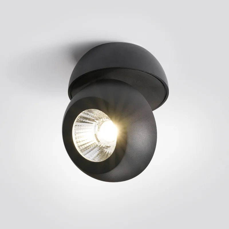 

Dimmable Surface Mounted LED Downlights Led COB Ceiling 12w 24w 48w AC220-240V LED CREE chips Hotel Villa Lighting
