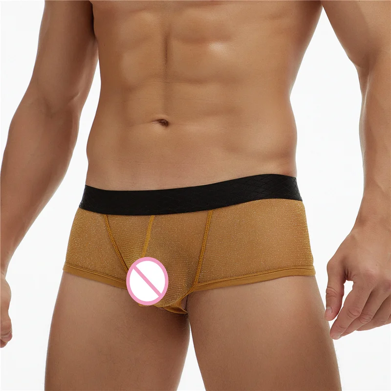 

5PCS Men's shorts See-Through Boxer Gay Breathable Boxer Shorts Men Boxers Underwear Panties Sexy Gay Boxers