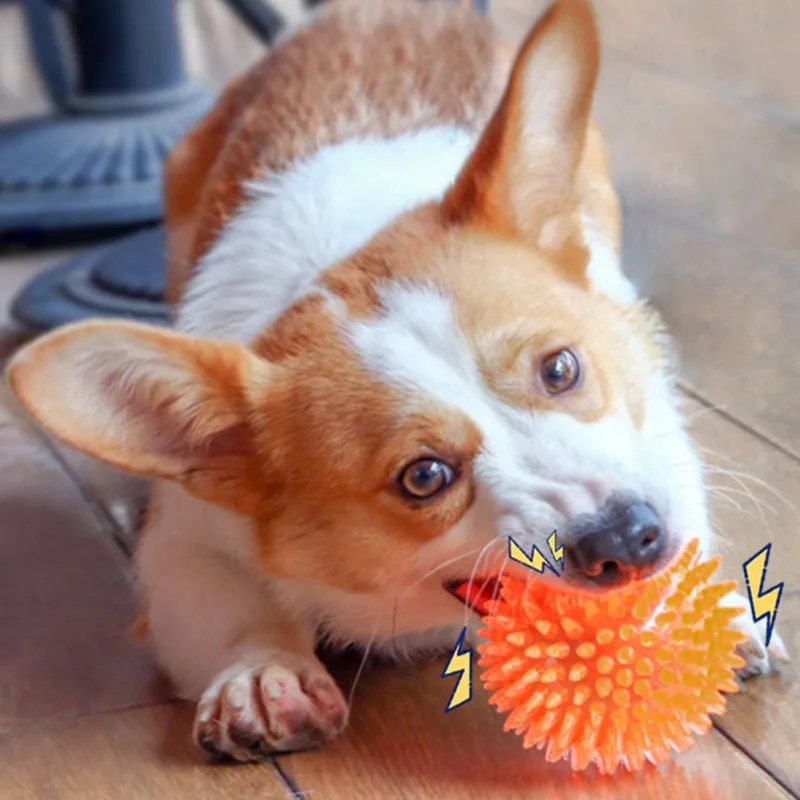

Pet Accessories Ball Toys Dog Decompression Toys Pet Molar Bite Chewing Toys Chewers Multifunction Interactive Dropship