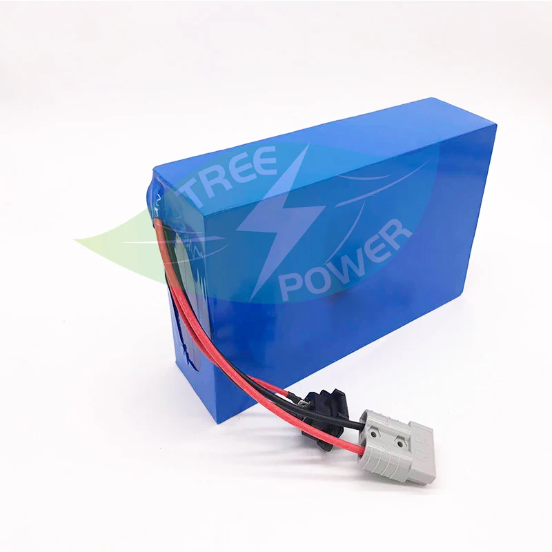 

lithium 72v 20Ah lifepo4 battery deep cycle with BMS for 1500w 2000w bike scooter Tricycle motorcycle